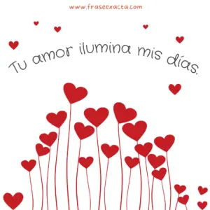 Frases cortas de amor