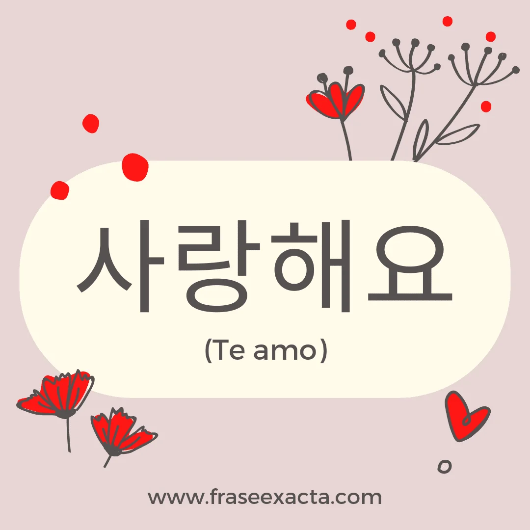 100 Frases bonitas de amor en coreano