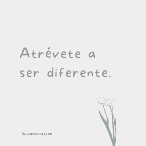 frases para whatsapp