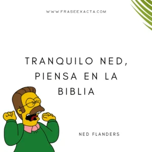 frases de los Simpson