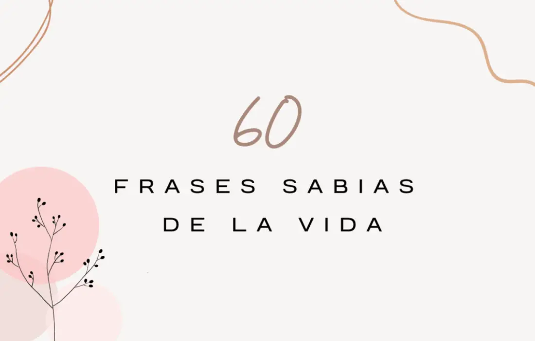 60 Frases sabias de la vida con autor: Inspírate en cada momento