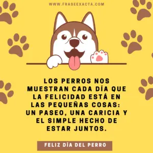 frases día del perro