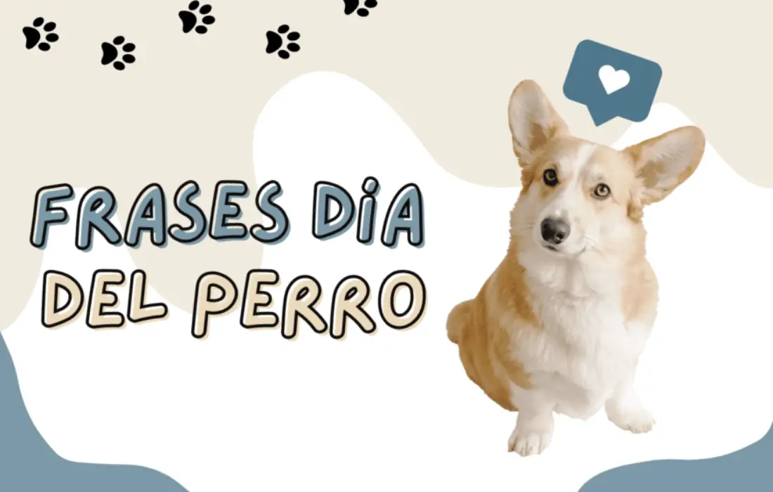 Frases para el día del perro: Celebra a tu amigo incondicional