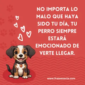 frases para el día del perro