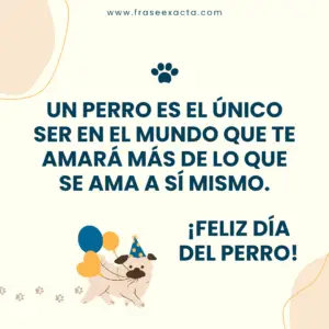 frases día del perro