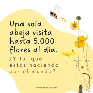 frases día de las abejas