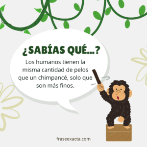 dato curioso para iniciar una conversación