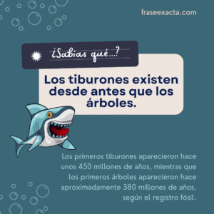Datos curiosos pero unútiles