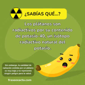 datos random curiosos para una conversación