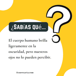 datos curiosos para una conversación
