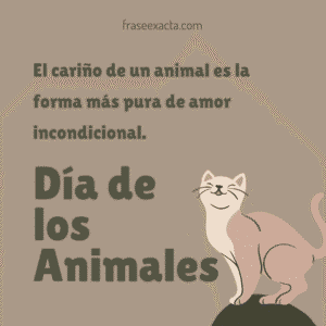 feliz día animales